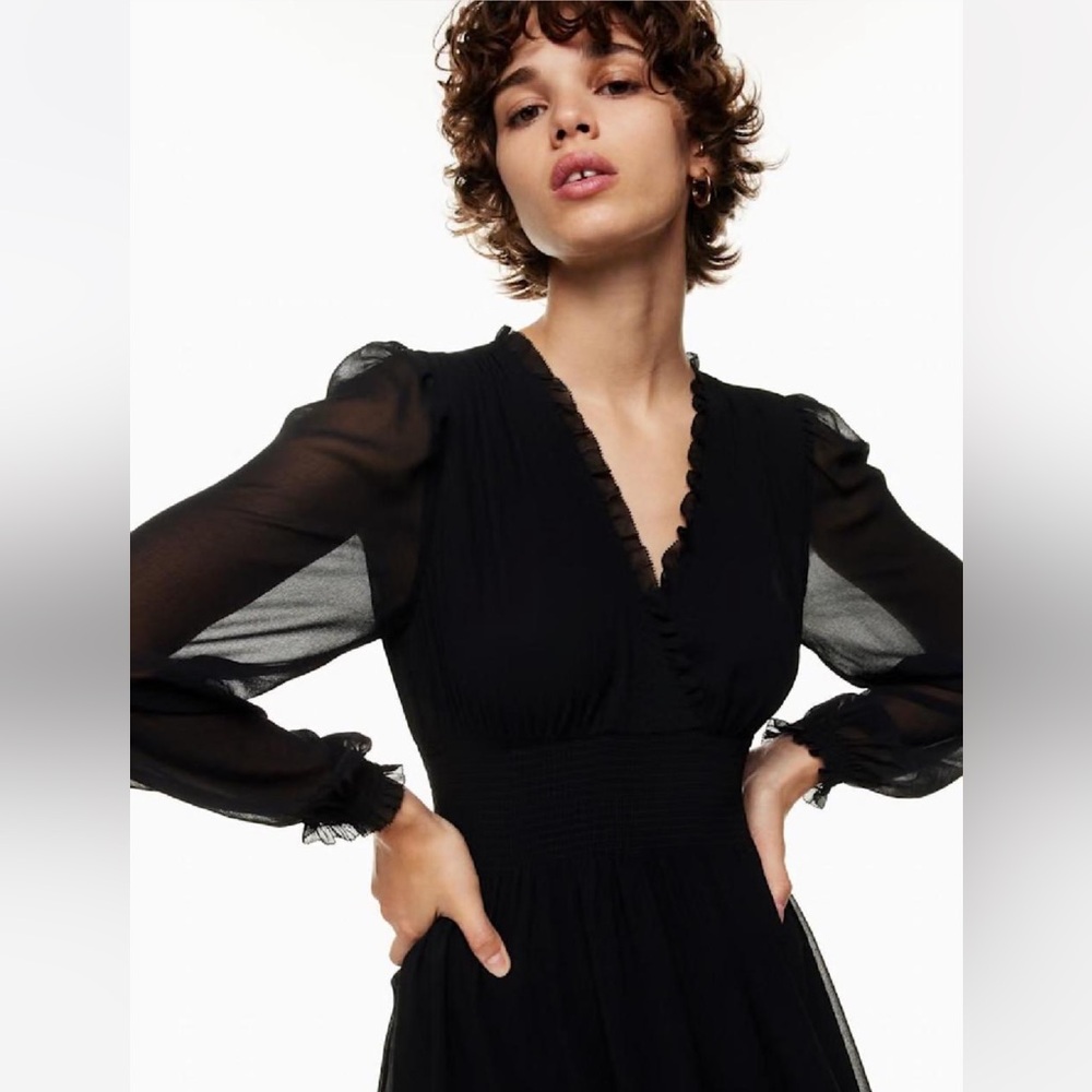 Aritzia Wilfred Dress